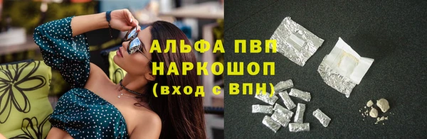прущие грибы Абинск