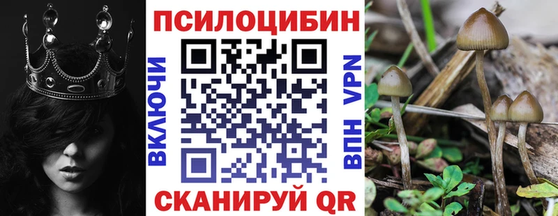 гидра как войти  Абинск  Галлюциногенные грибы MAGIC MUSHROOMS  магазин   